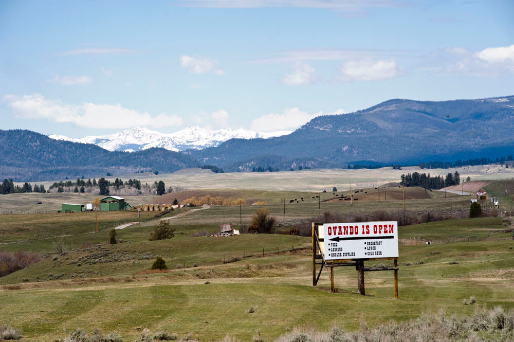 Montana FWP releases additional information on fatal Grizzly attack in ...